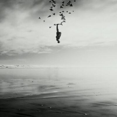 metatrader4官网下载