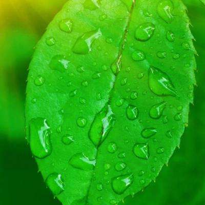 海星体育app下载